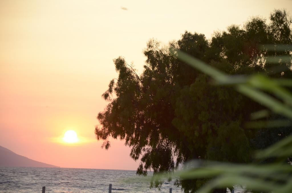 Hotel Garden Радима Экстерьер фото